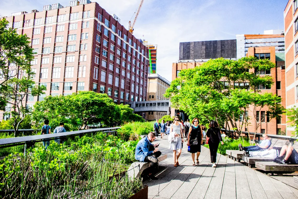 Walk the High Line in New York City