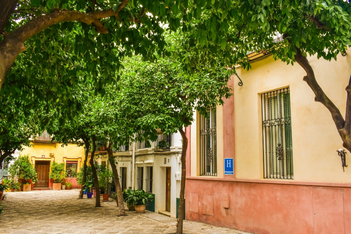 Wander the Barrio Santa Cruz in Seville