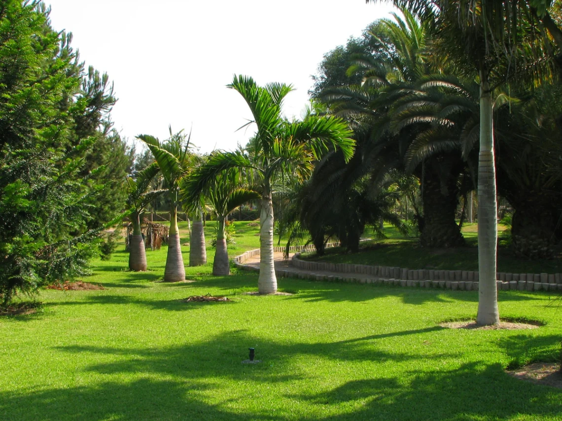Wander the Turia Gardens (Jardín del Turia) in Valencia