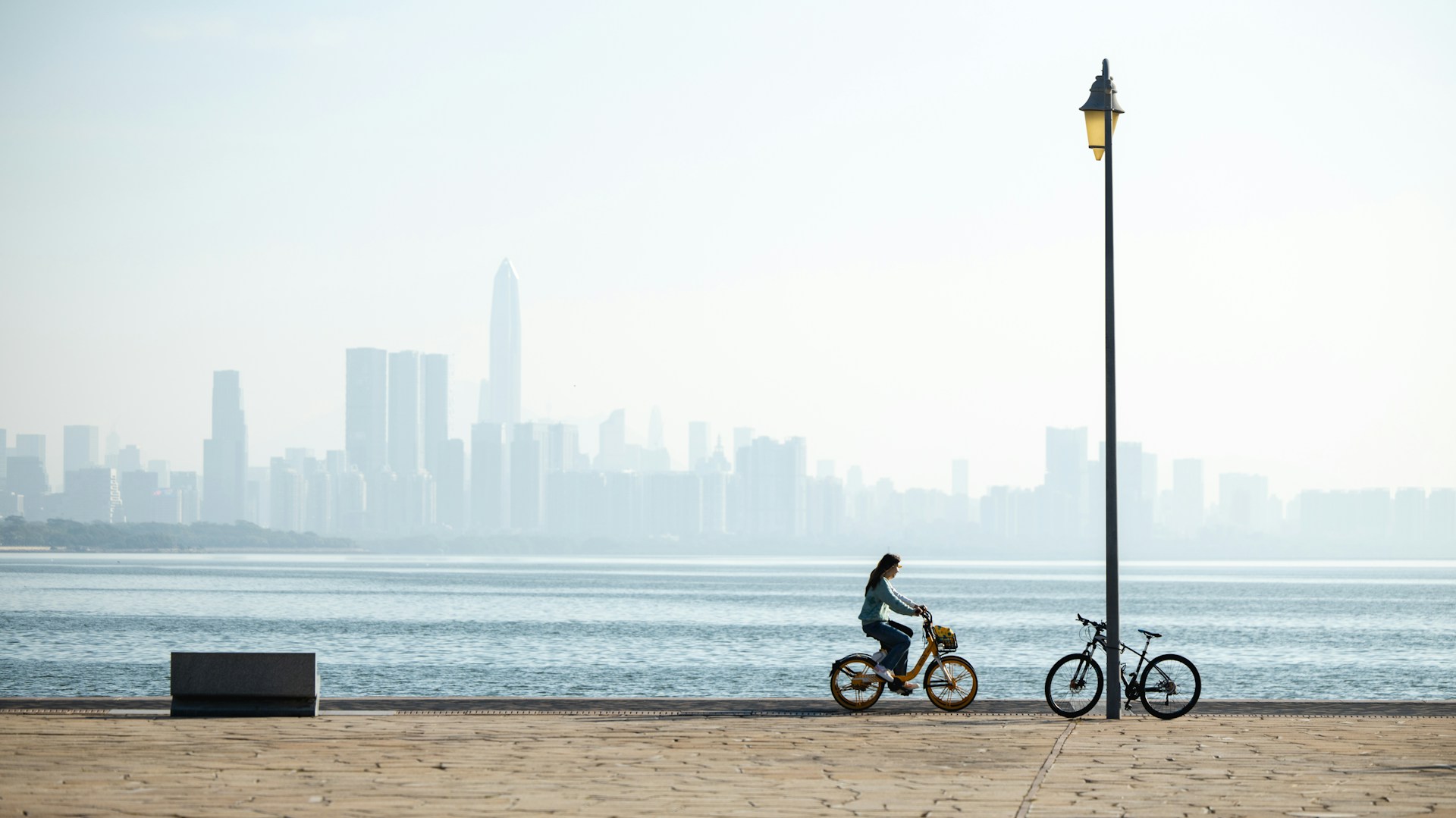 Shenzhen Bay Park and Coastal Cycling in Shenzhen