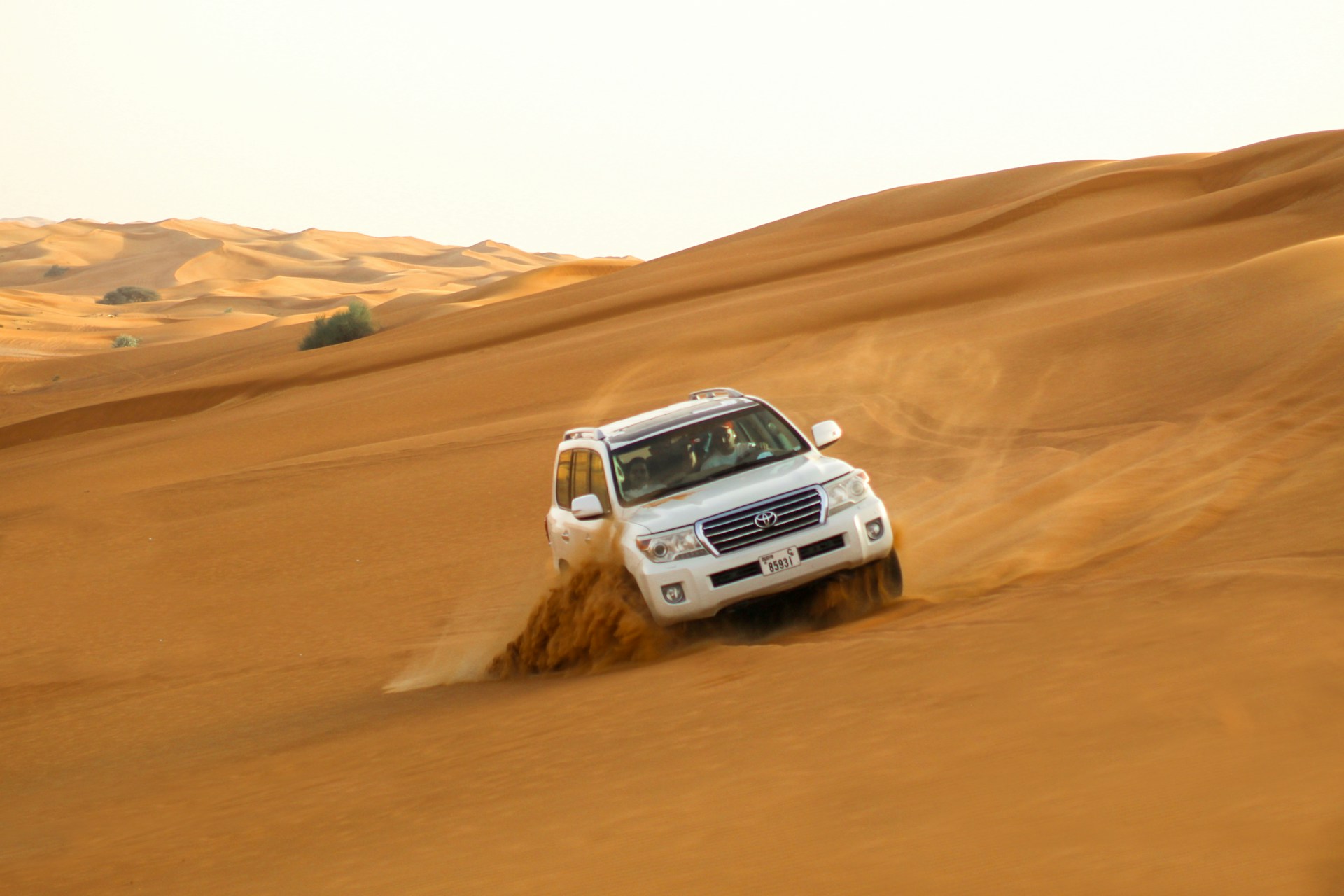 Dune Bashing and Inland Sea Safari in Doha