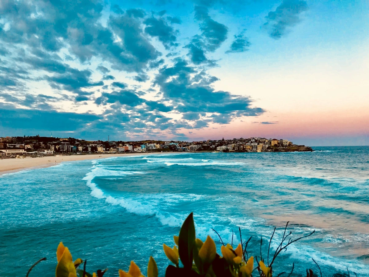 Relax at Bondi Beach & coastal walk in Sydney