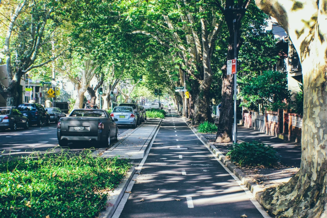 Discover art, food and culture in Surry Hills & Newtown in Sydney