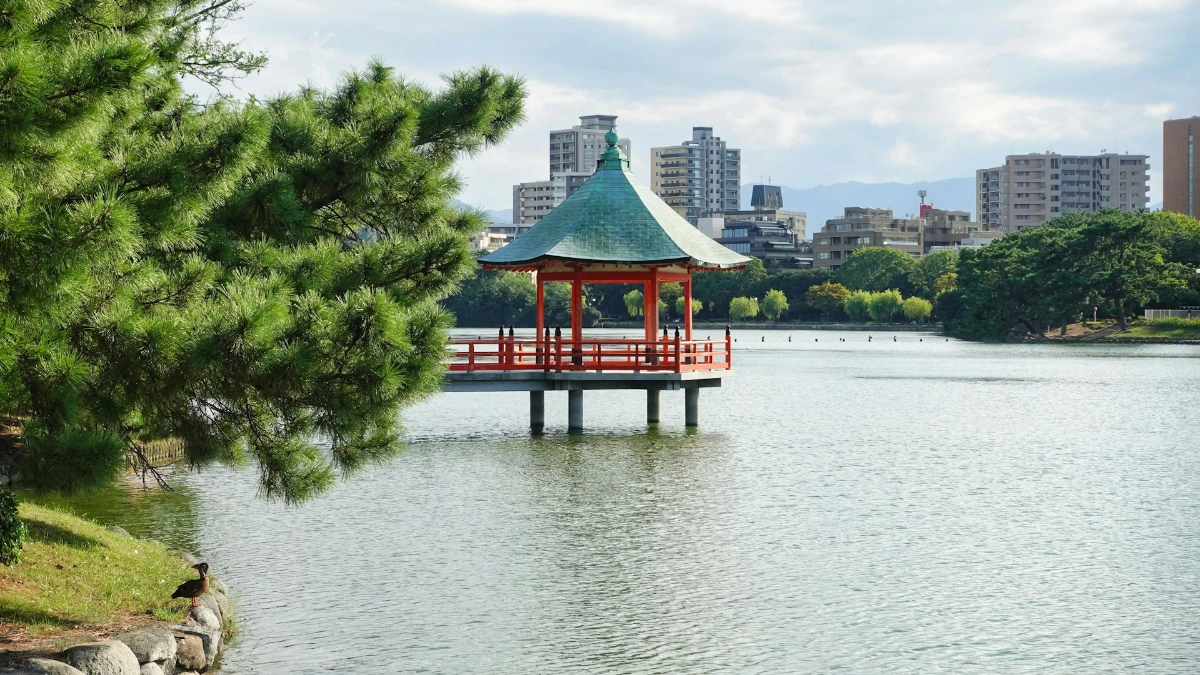Wander Ohori Park and Maizuru Park in Fukuoka