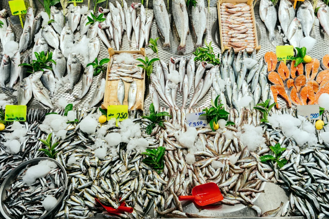 Savor Fresh Seafood at Jagalchi Fish Market in Busan
