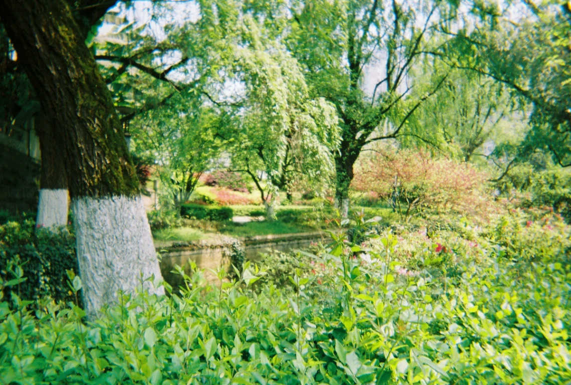 Discover Dunbar's Close Garden in Edinburgh