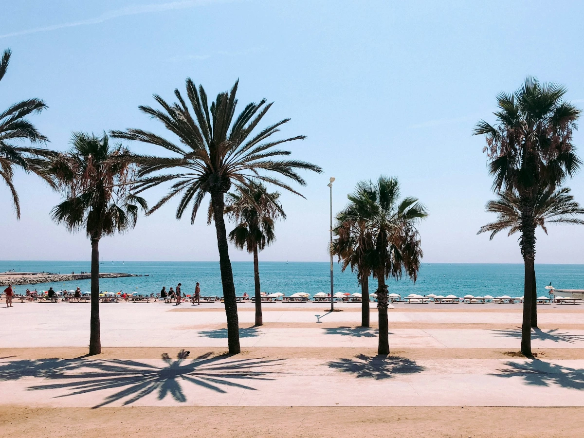 Relax at Barceloneta Beach and the Waterfront Promenade in Barcelona