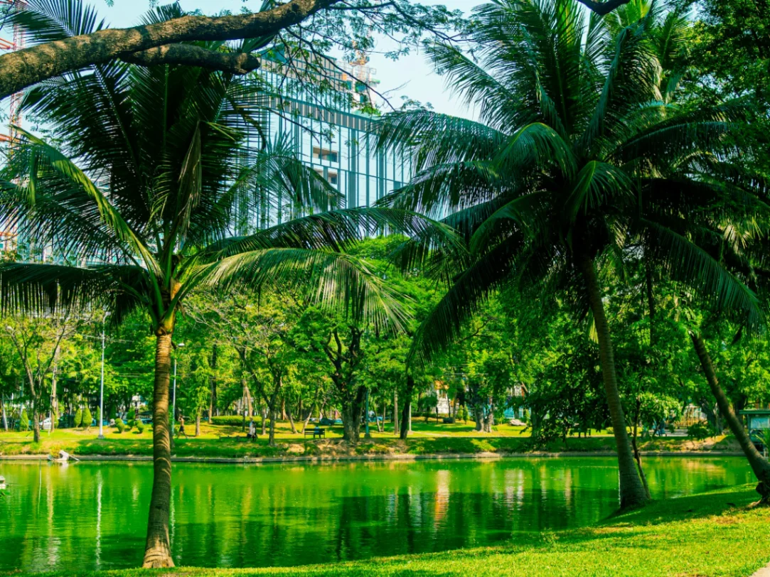 Relax in Lumphini Park and Watch Local Life Unfold in Bangkok