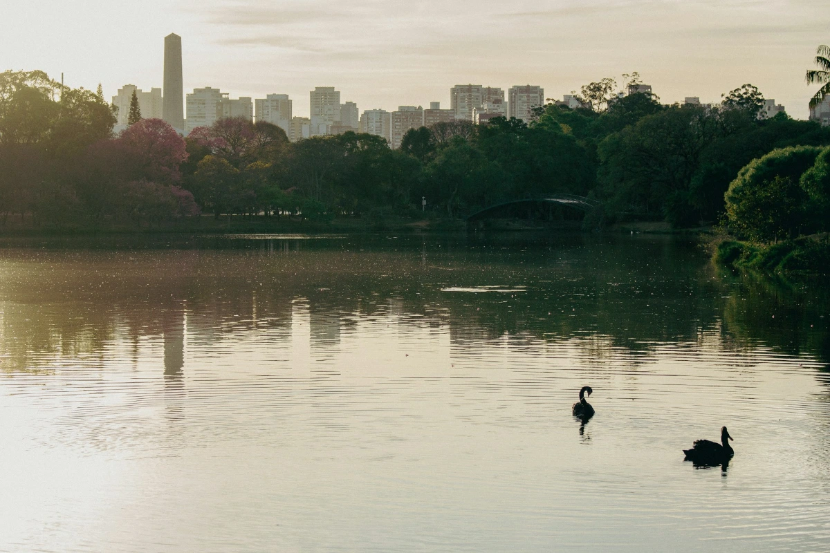 Unwind in Parque do Ibirapuera in Sao Paulo