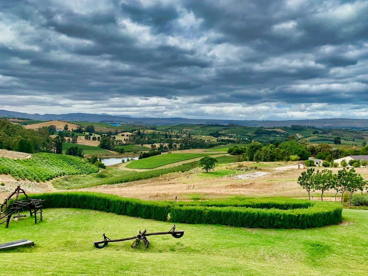 Explore the Cape Winelands in Cape Town