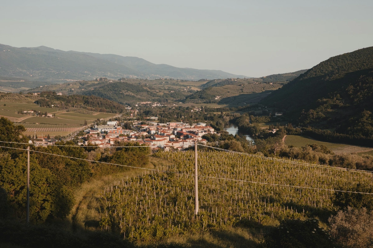 Visit a Mallorcan vineyard and taste local wine in Mallorca
