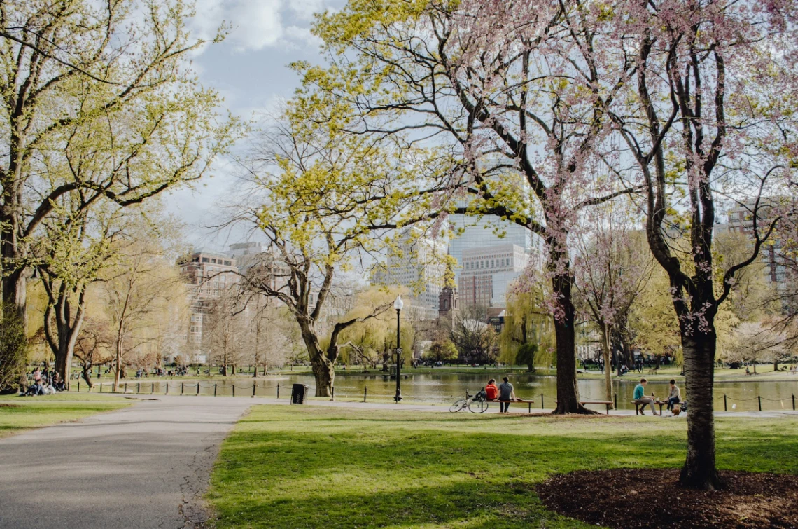 Stroll Boston Public Garden and Ride the Swan Boats in Boston