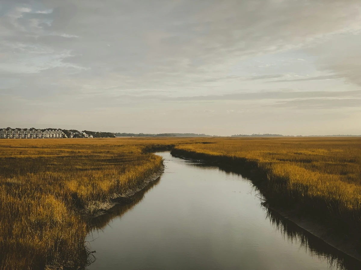 Kayak the Lowcountry creeks and tidal marshes in Charleston