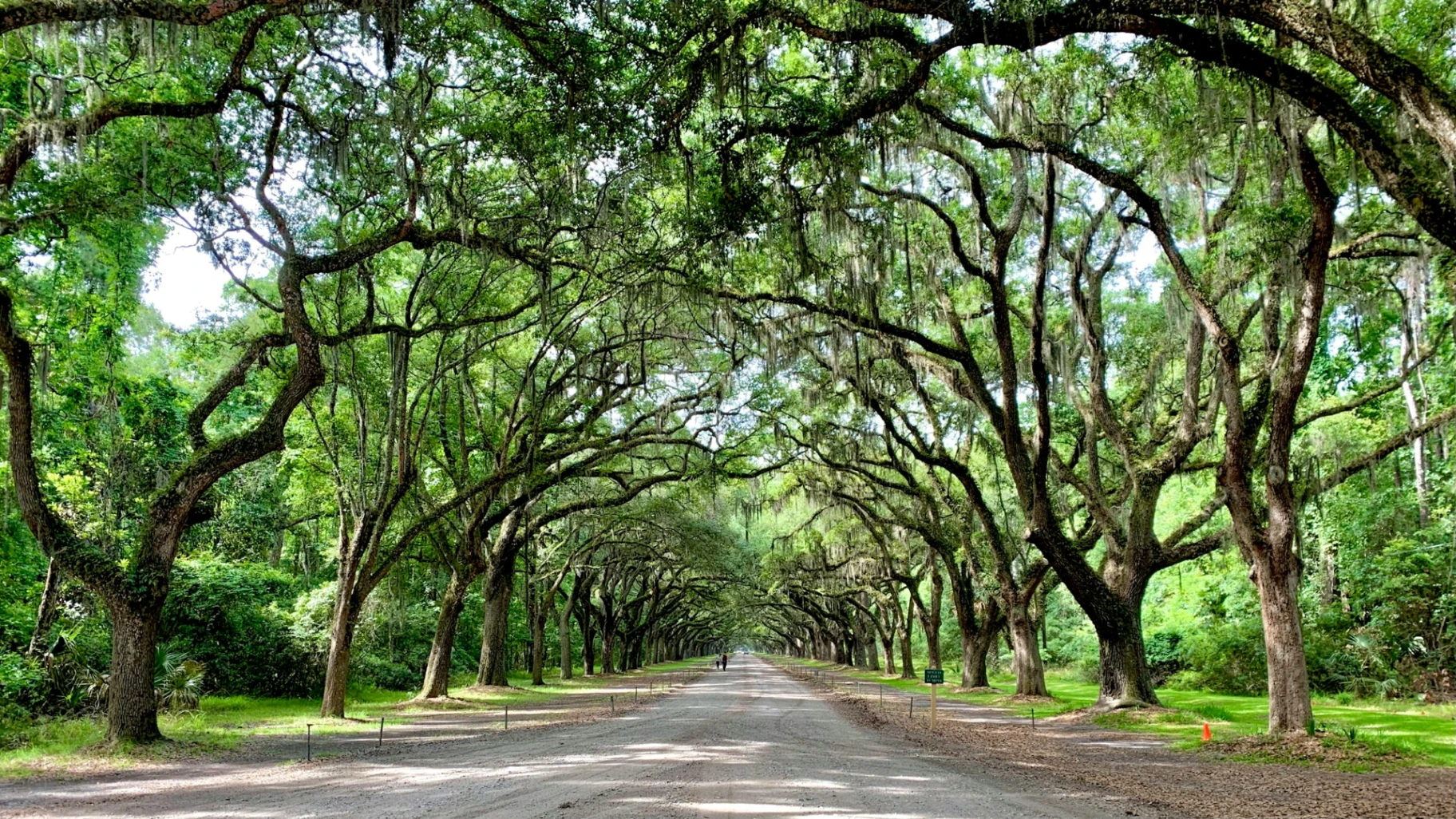 Savannah, United States