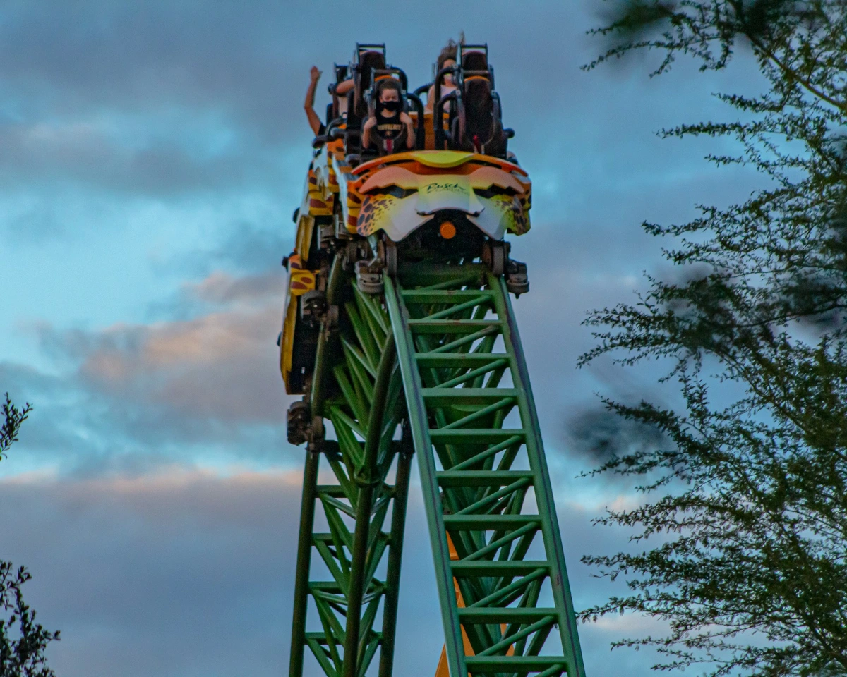 Visit Busch Gardens Tampa Bay in Tampa