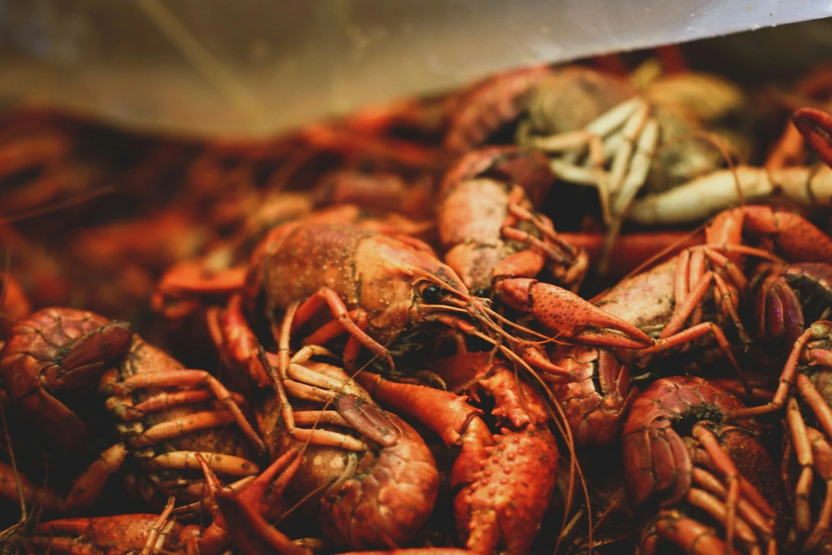 Taste the flavors of New Orleans in New Orleans