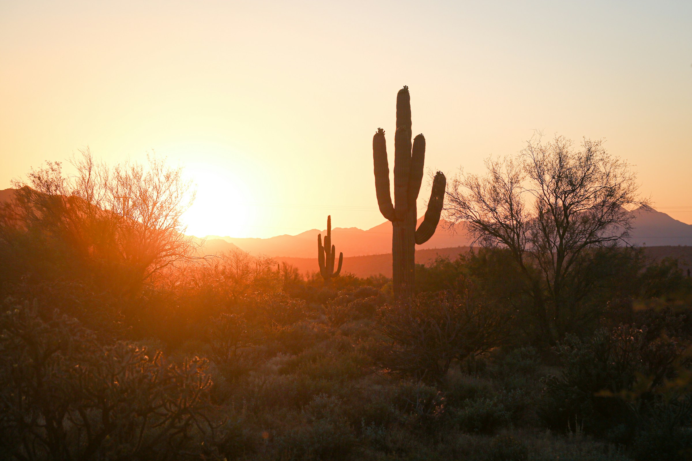 Phoenix, United States