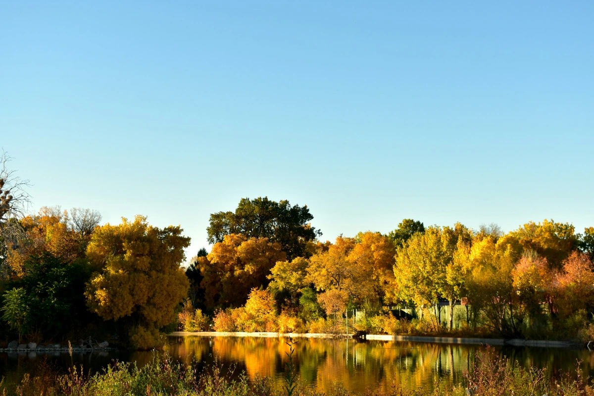 Relax at Washington Park in Denver