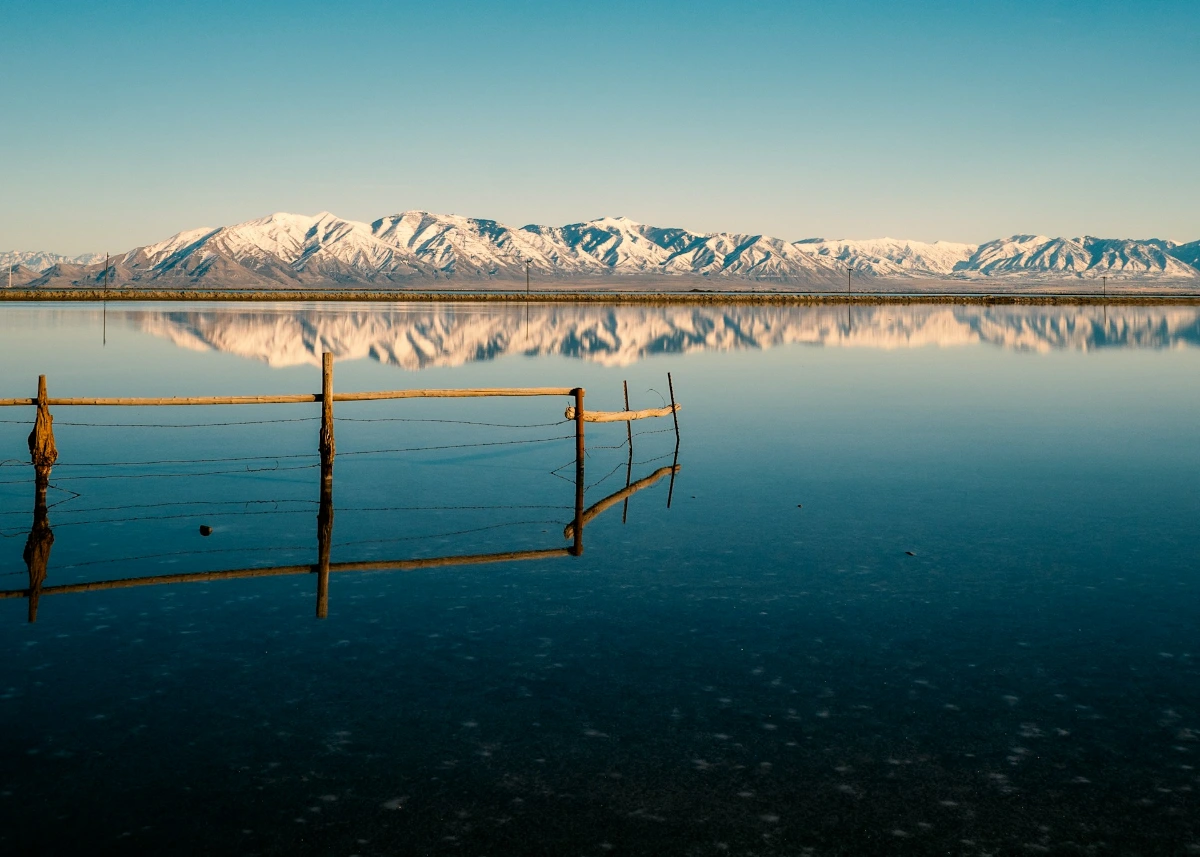 Explore the Great Salt Lake and Antelope Island in Salt Lake City