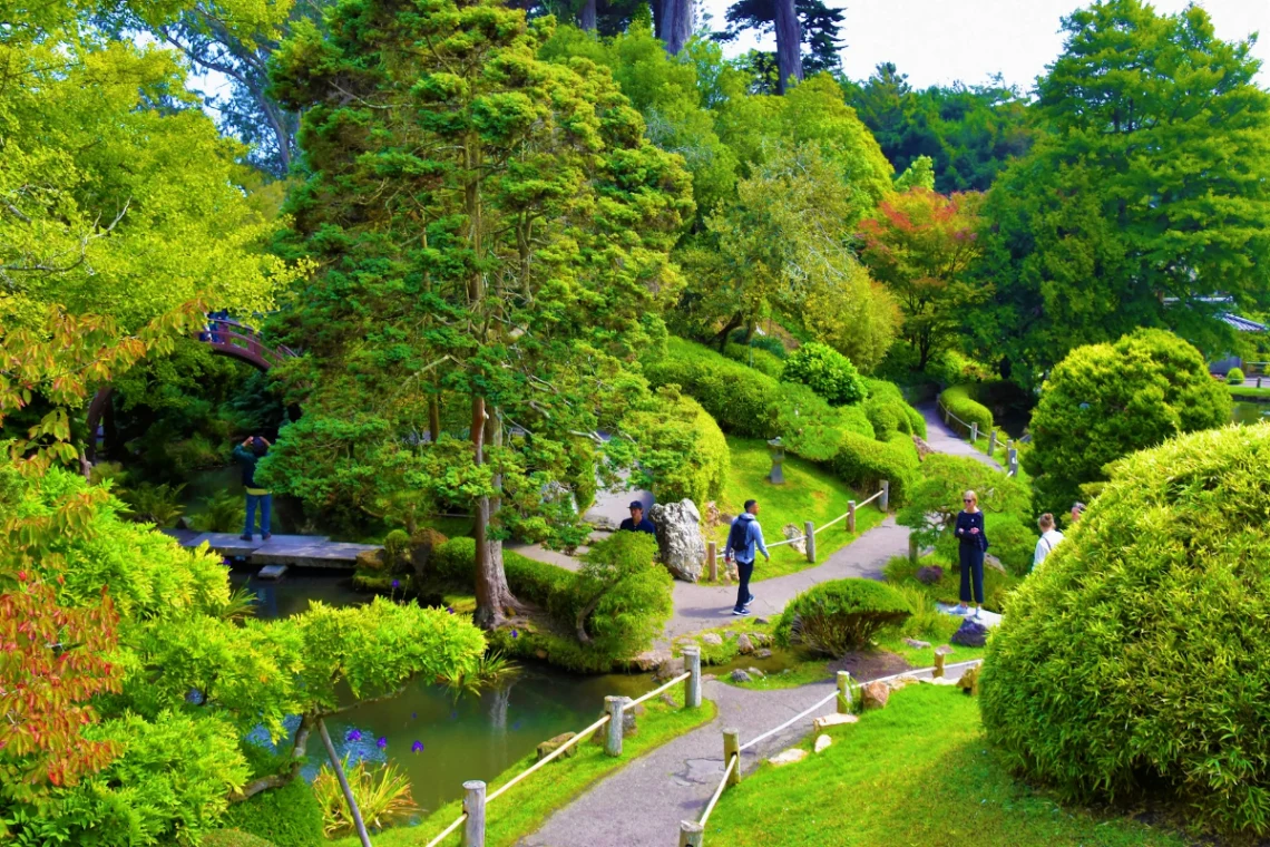 Explore Golden Gate Park, San Francisco in San Francisco