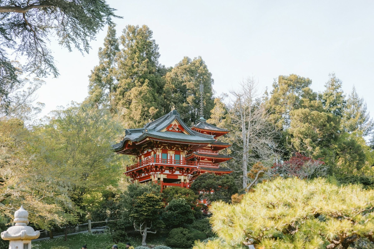 Explore the Japanese Tea Garden, Golden Gate Park in San Francisco