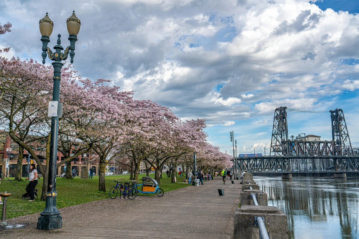 Stroll Tom McCall Waterfront Park in Portland