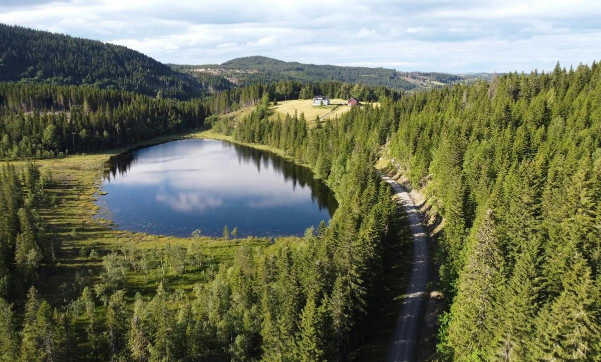 Hike or Ski in Nordmarka Forest in Oslo