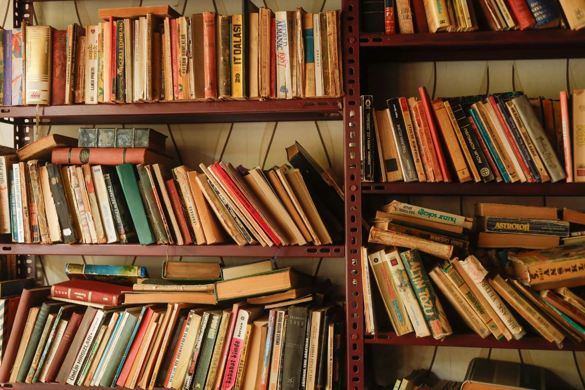 Visit the Cărturești Carusel Bookstore in Bucharest