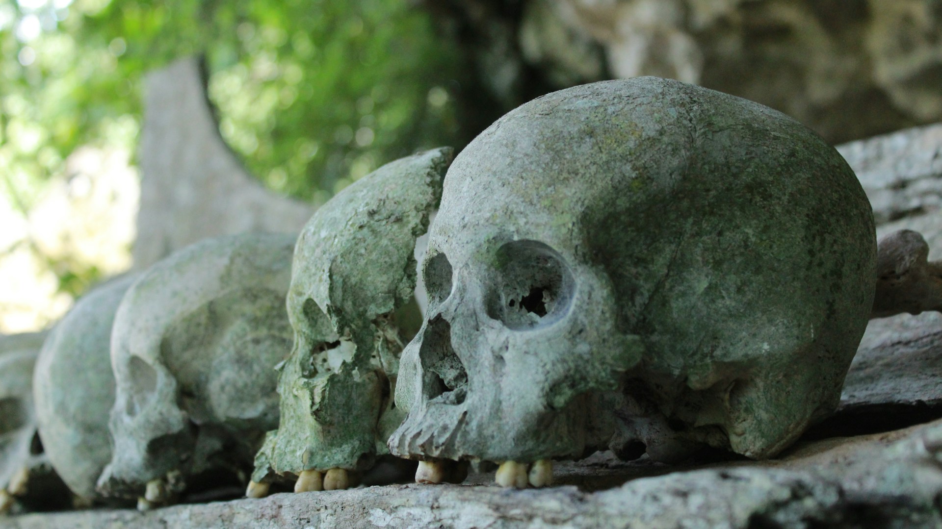 Find the Skulls at Cimitero delle Fontanelle in Naples