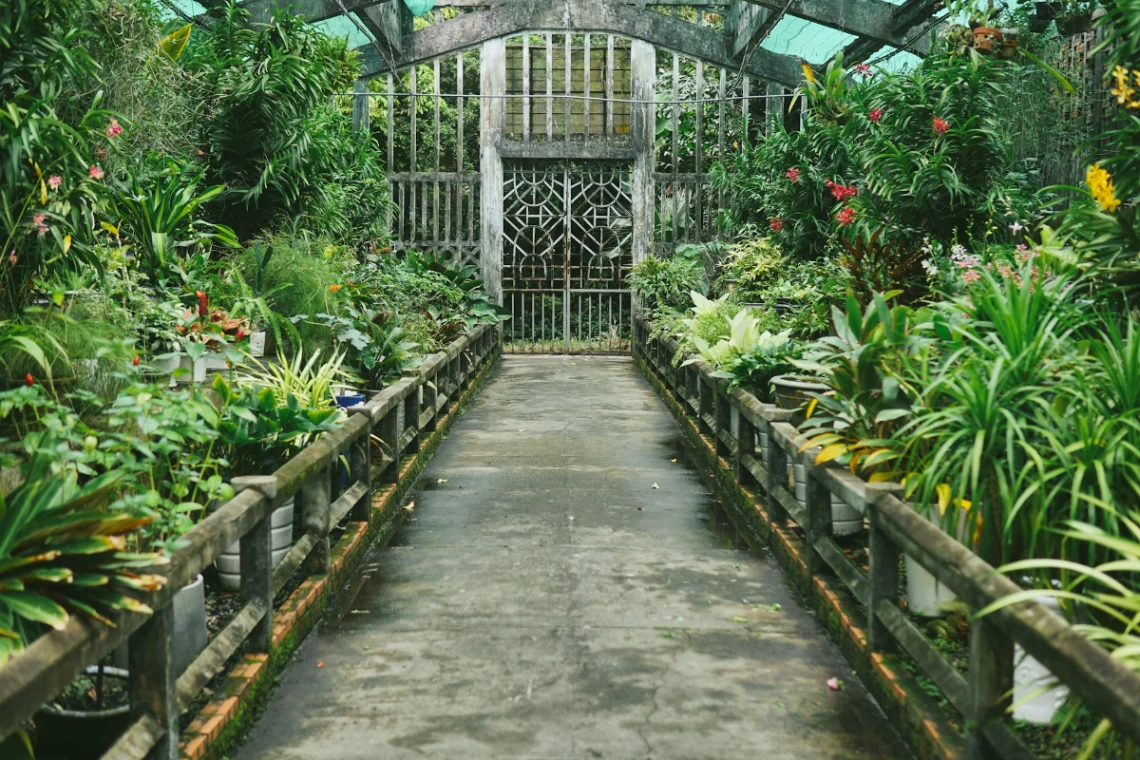Visit the Allan Gardens Conservatory in Toronto