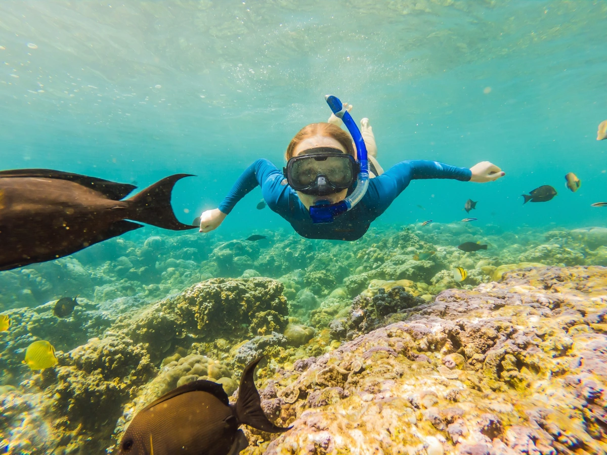 Snorkel or Dive the Coral Reefs and Wrecks in Nassau