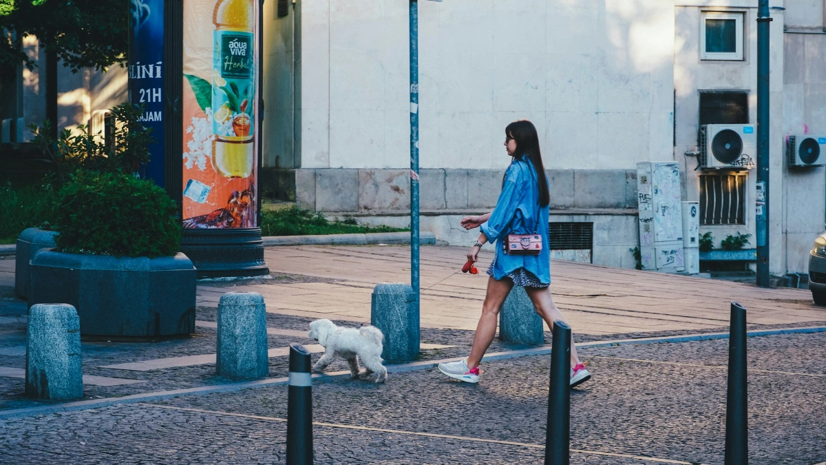 Stroll down Knez Mihailova Street in Belgrade