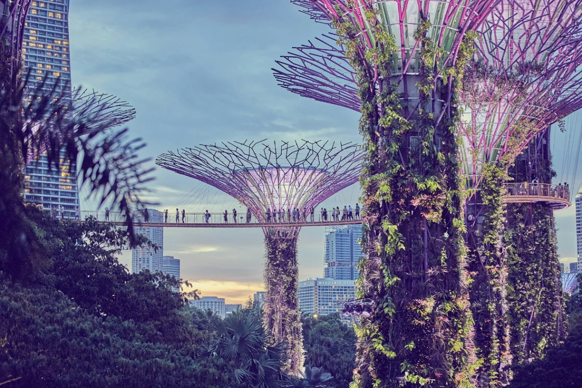 Experience Gardens by the Bay and the Supertree Grove in Singapore