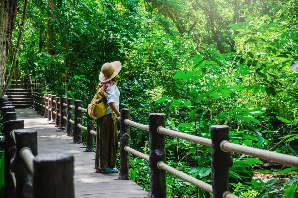 Stroll the UNESCO-listed Singapore Botanic Gardens in Singapore