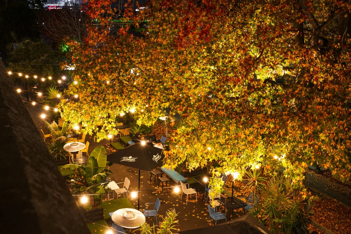 Hidden Bar Hopping for Covert Cocktails in Melbourne