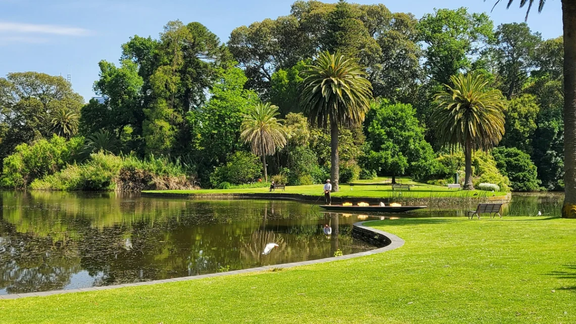 Take a Punt Tour at the Royal Botanic Gardens in Melbourne