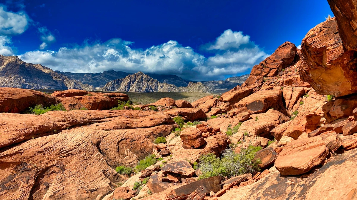 Hike the Red Rock Canyon National Conservation Area in Las Vegas