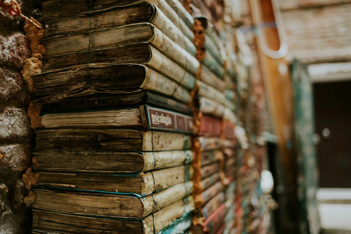 Get Lost in Libreria Acqua Alta in Venice